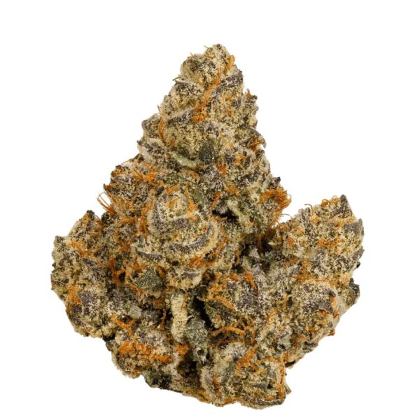 Bathera 28/1 FA Facetz