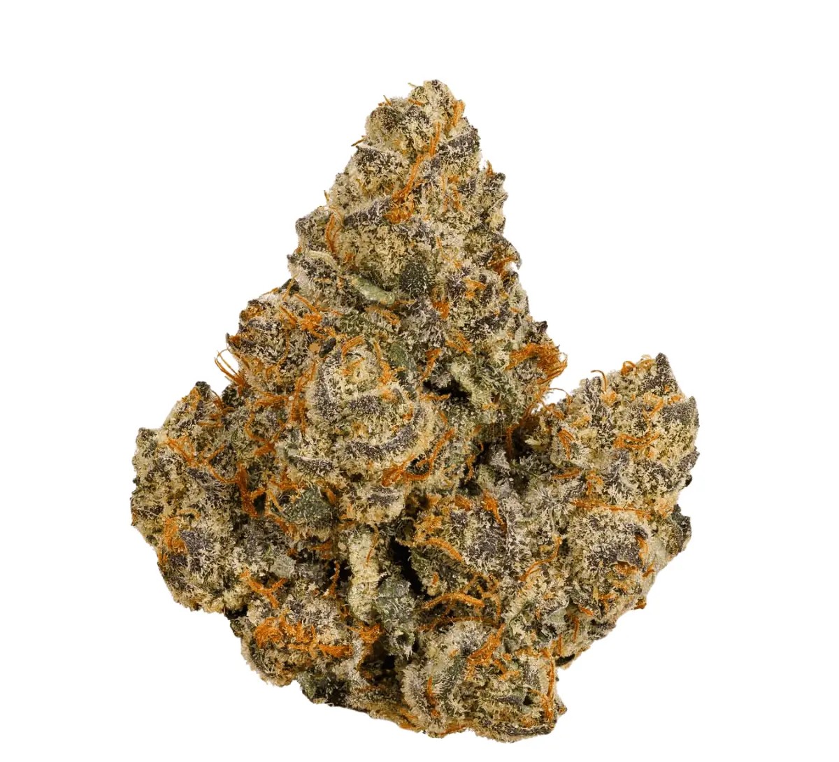 bathera-28-1-fa Bathera 28/1 FA Facetz – Bild 1