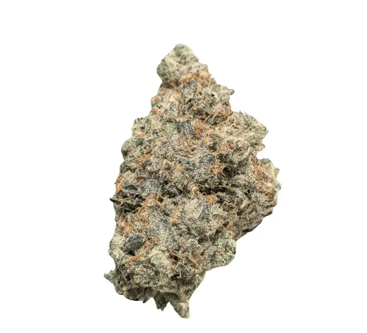 bathera-33-1-pp-polar-pop Bathera 33/1 PP Polar Pop – Bild 1