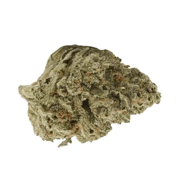 Beacon LI T26 Liquid Imagination