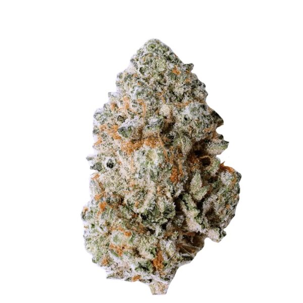 Blackbird Hybrid Intense Wedding Crasher