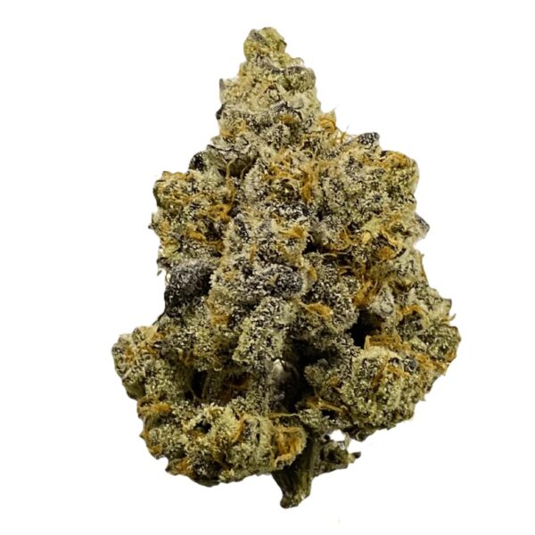 BOTANICS Golden Ace 24/1 Orange Panties