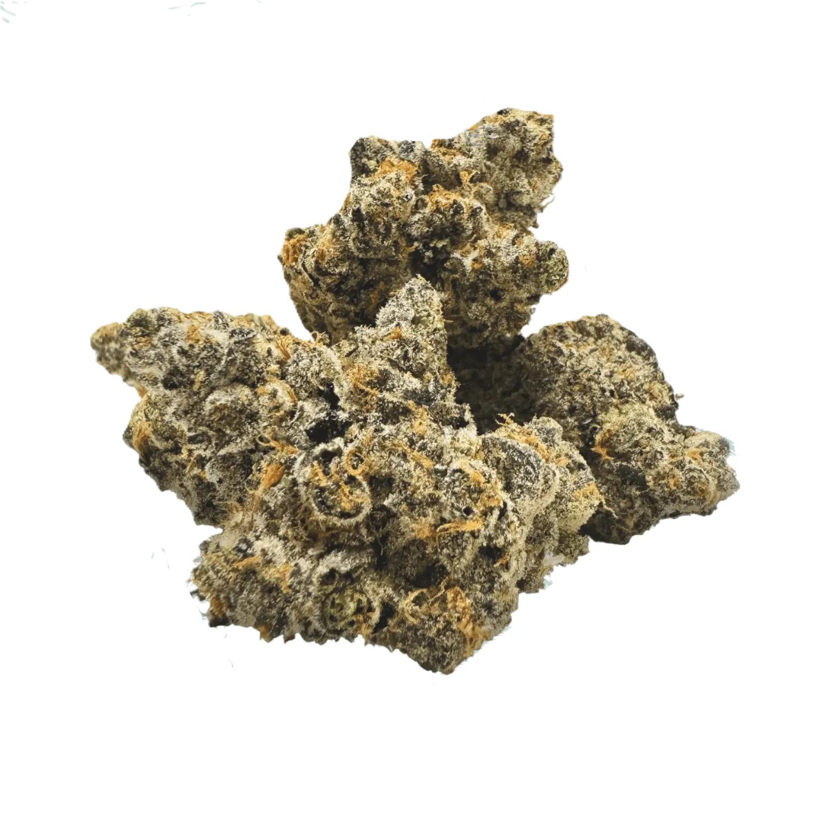 botanics-tonic-fuel-22-1 BOTANICS Tonic Fuel 22/1 Gary Payton – Bild 1