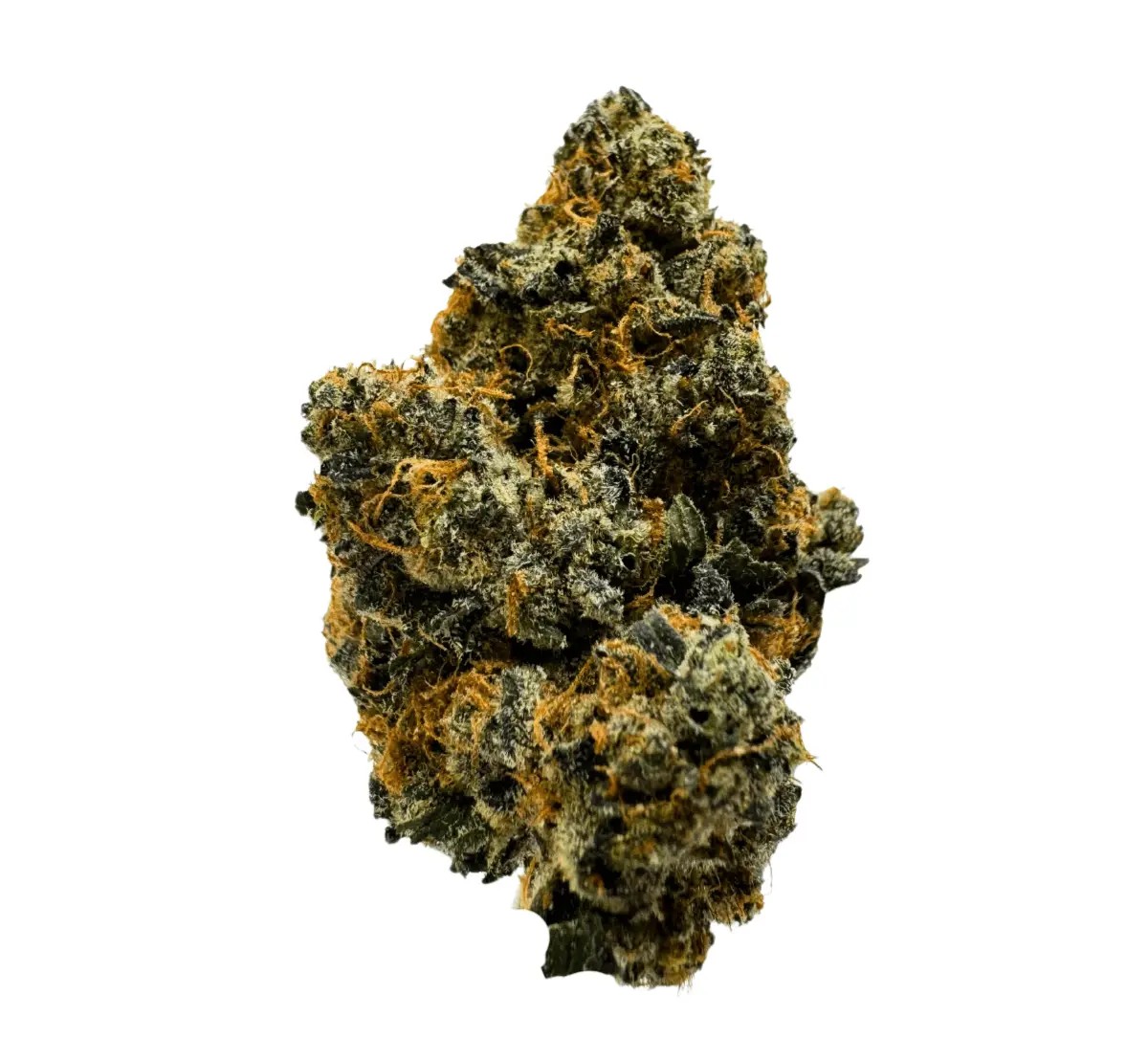 buuo-24-1-dc BUUO 24/1 BCG Candy Bandit Popstars – Bild 1