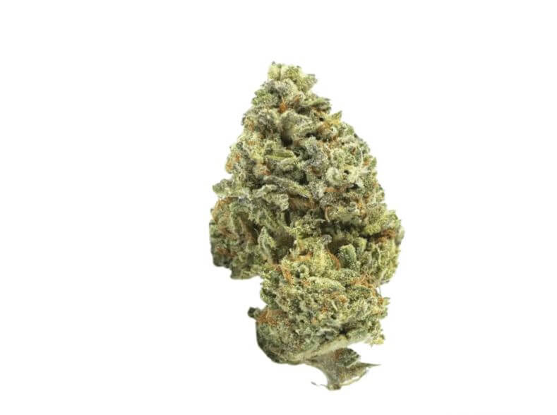 canify-20-1-uy-big-buddah Canify Cannabis flos 20/1 UY Ku. Big Buddha – Bild 1