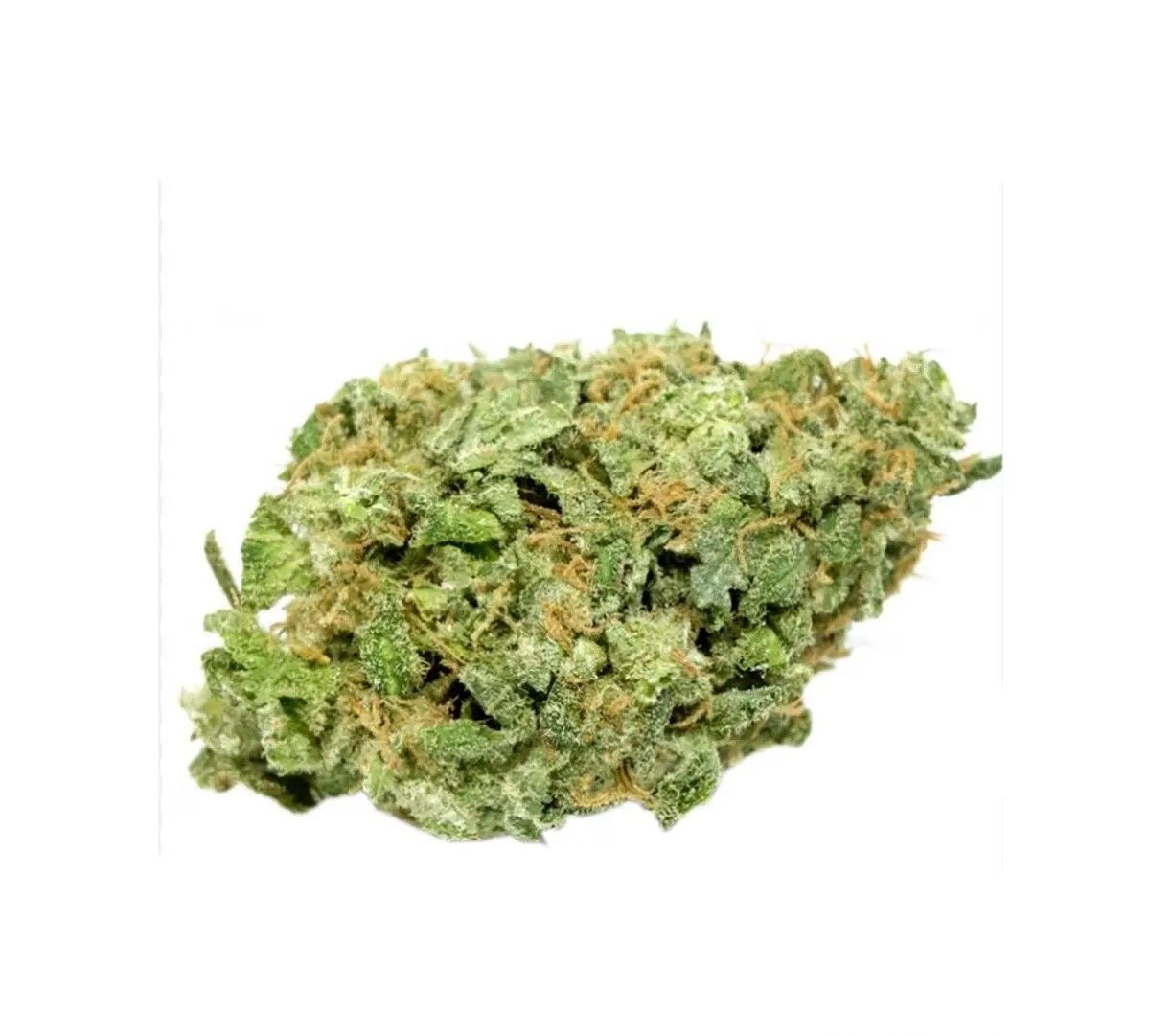 cannabis-1a-16-1 Cannabis 1A 16/1 White Widow – Bild 1