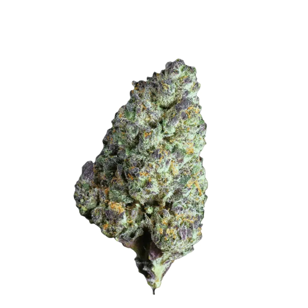 cannabis-flos-25-1-csf Cannabis Flos 23/1 CSF Ku. Rose Ember – Bild 1