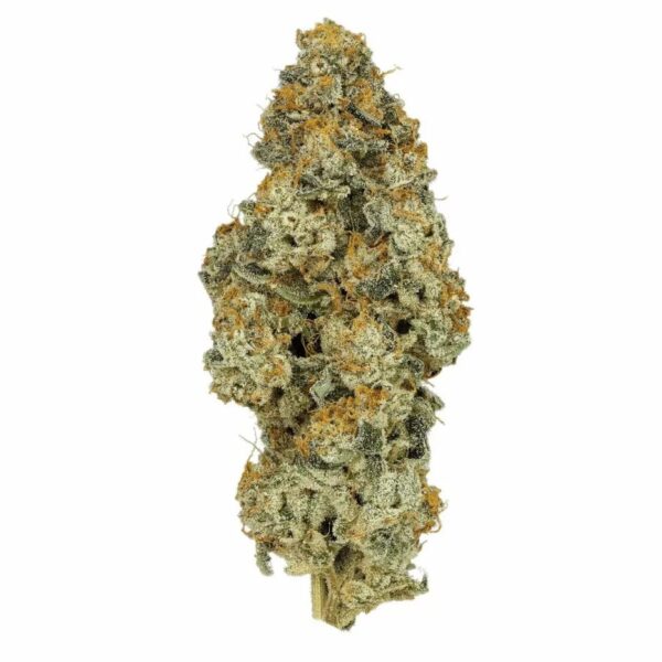 Cannamedical CM 27/1 PO Platinum Oranges