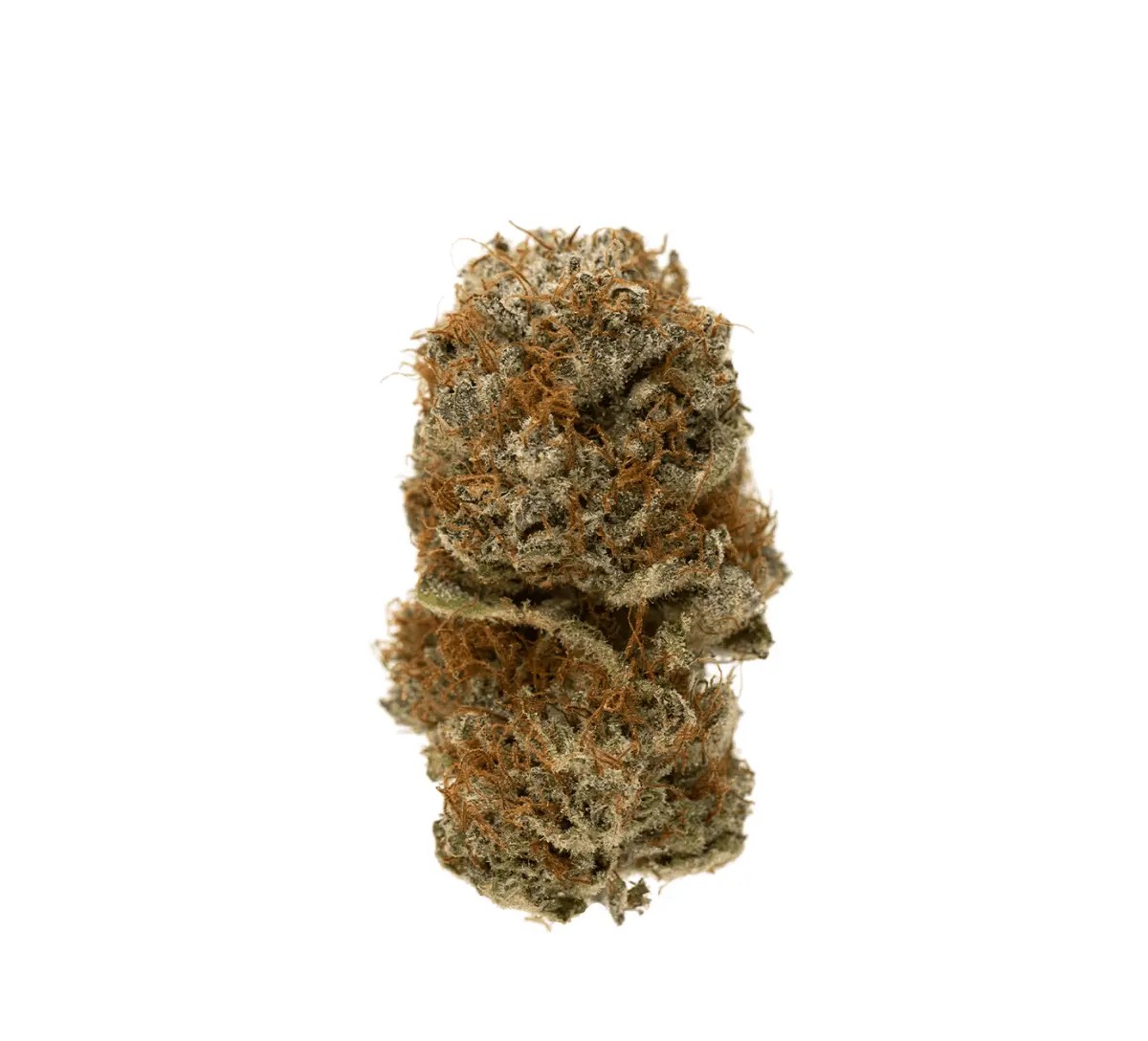 cannamedical-cm-28-1 Cannamedical CM 24/1 PG Platinum Grapes – Bild 1