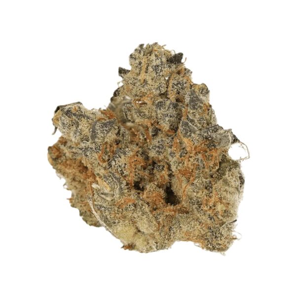 Cannamedical CM 31/1 SPC Space Cake