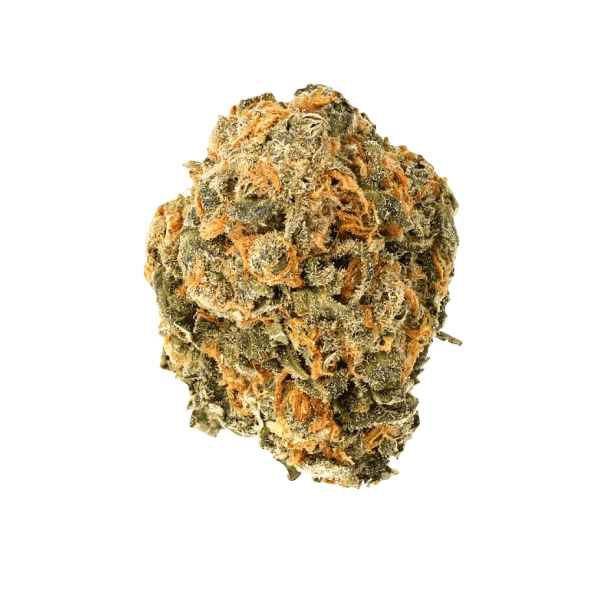 cannamedical-hybrid-forte-nm Cannamedical Hybrid Forte 22/1 NM Gorilla Zkittlez – Bild 1