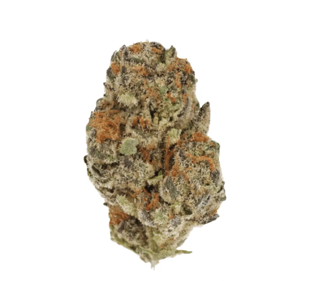 cannamedical-indica-classic-20-1-zaf-dank-wafers Cannamedical Indica Classic 20/1 ZAF Dank Wafers – Bild 1