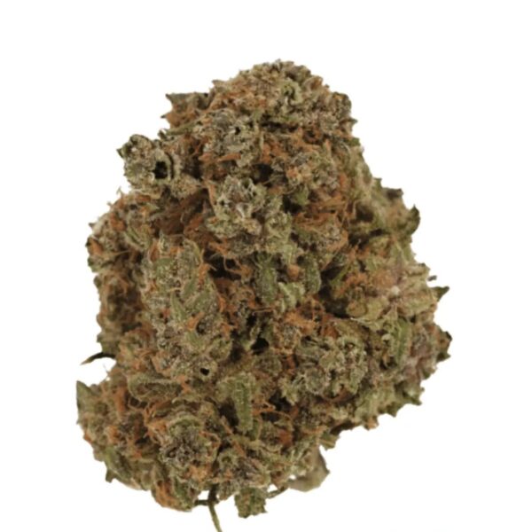 Cannamedical Indica Forte DK 22/1 Gelat Skyfloater