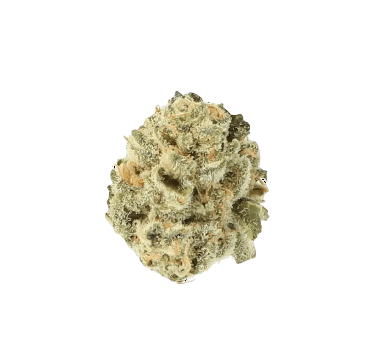 cannamedical-indica-forte-el-jefe Cannamedical Indica forte El Jefe – Bild 1