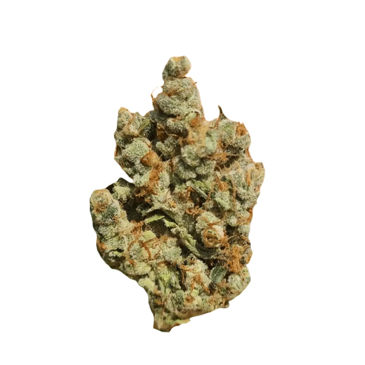 cannamedical-sativa-forte-venomz-eve Cannamedical Sativa forte Venomz Eve – Bild 1