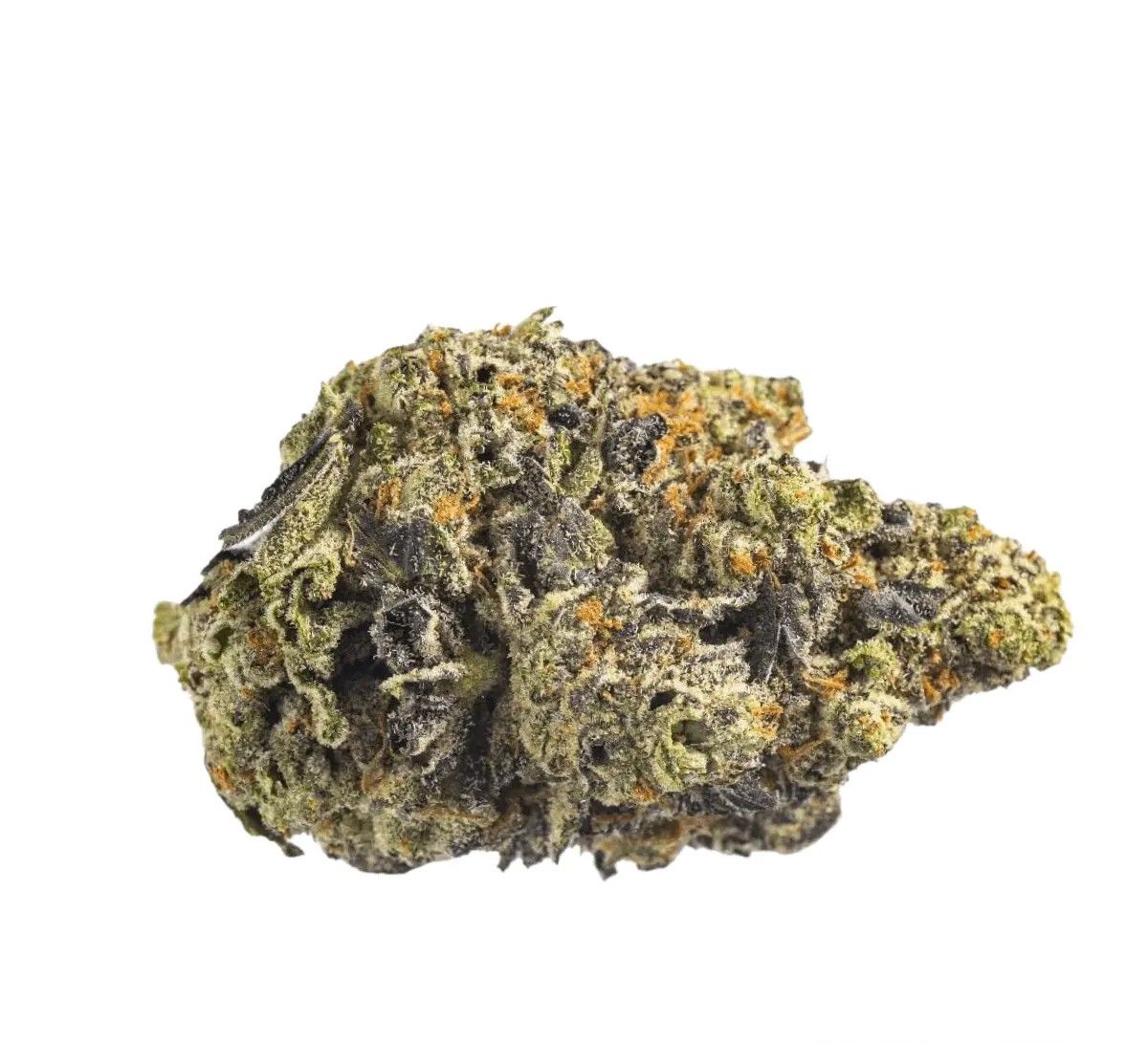 canopy-kmi-30 Canopy KMI 30/1 Kush Mints – Bild 1