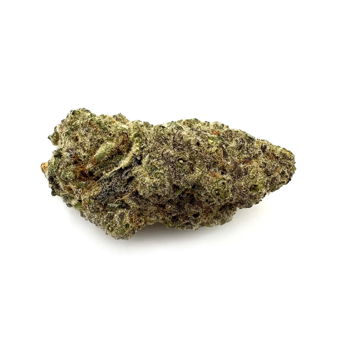 cantourage-mac-1 Cantourage MAC 1+ – Bild 1