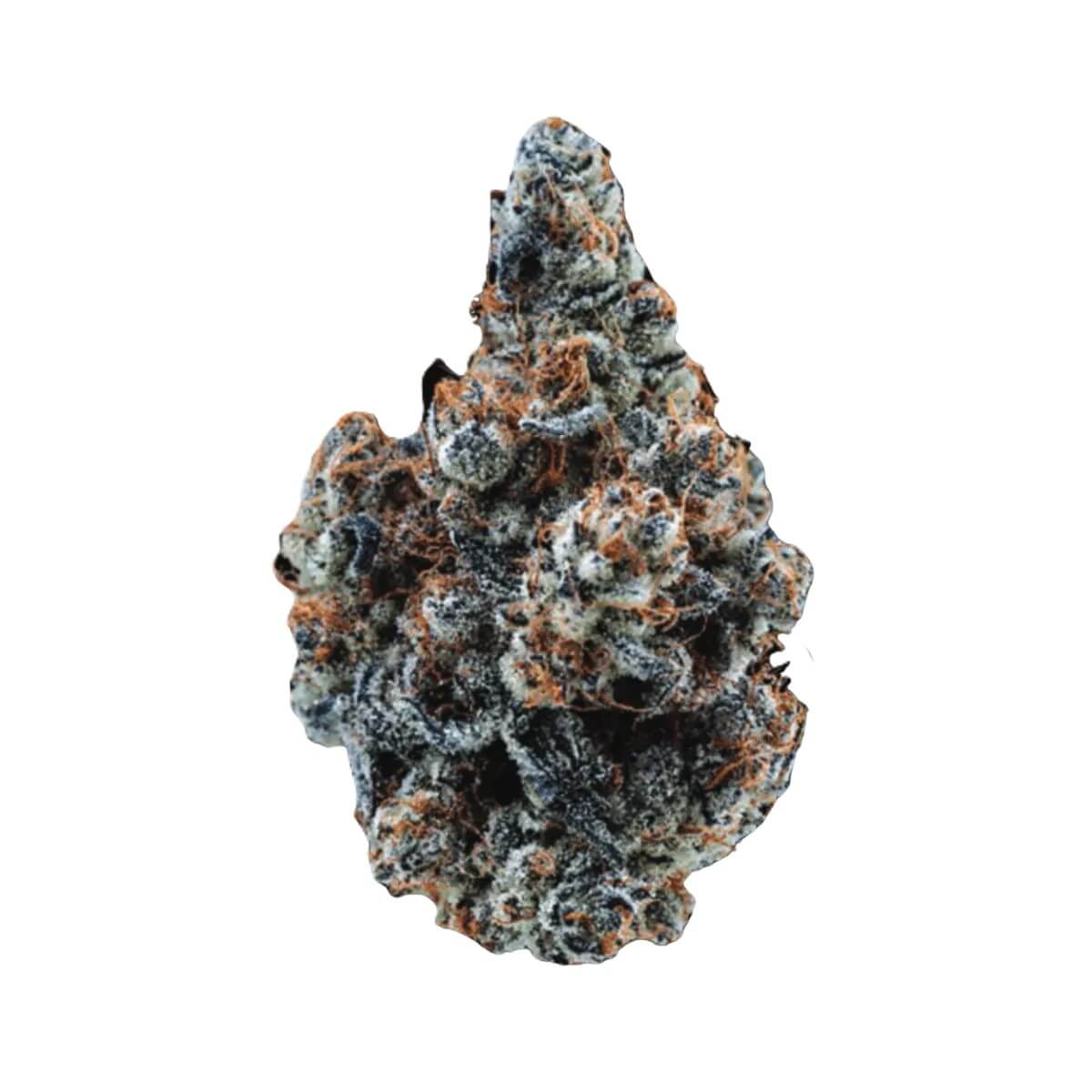 citizen-labs-cr-32-1 Citizen Labs CR 32/1 Cali Rain – Bild 1