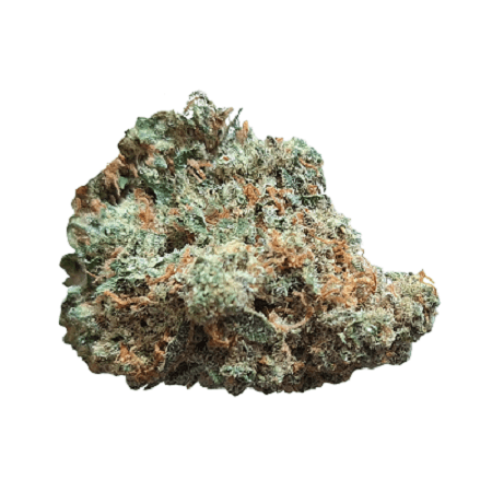 CNBS  BLRZ 23/1 Blue Ritz