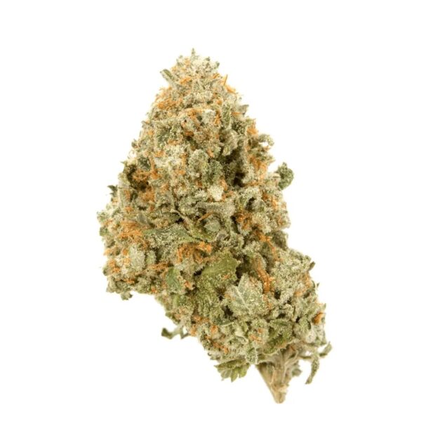 Petit Vert 24/1 GTE KCO Kush Cookies