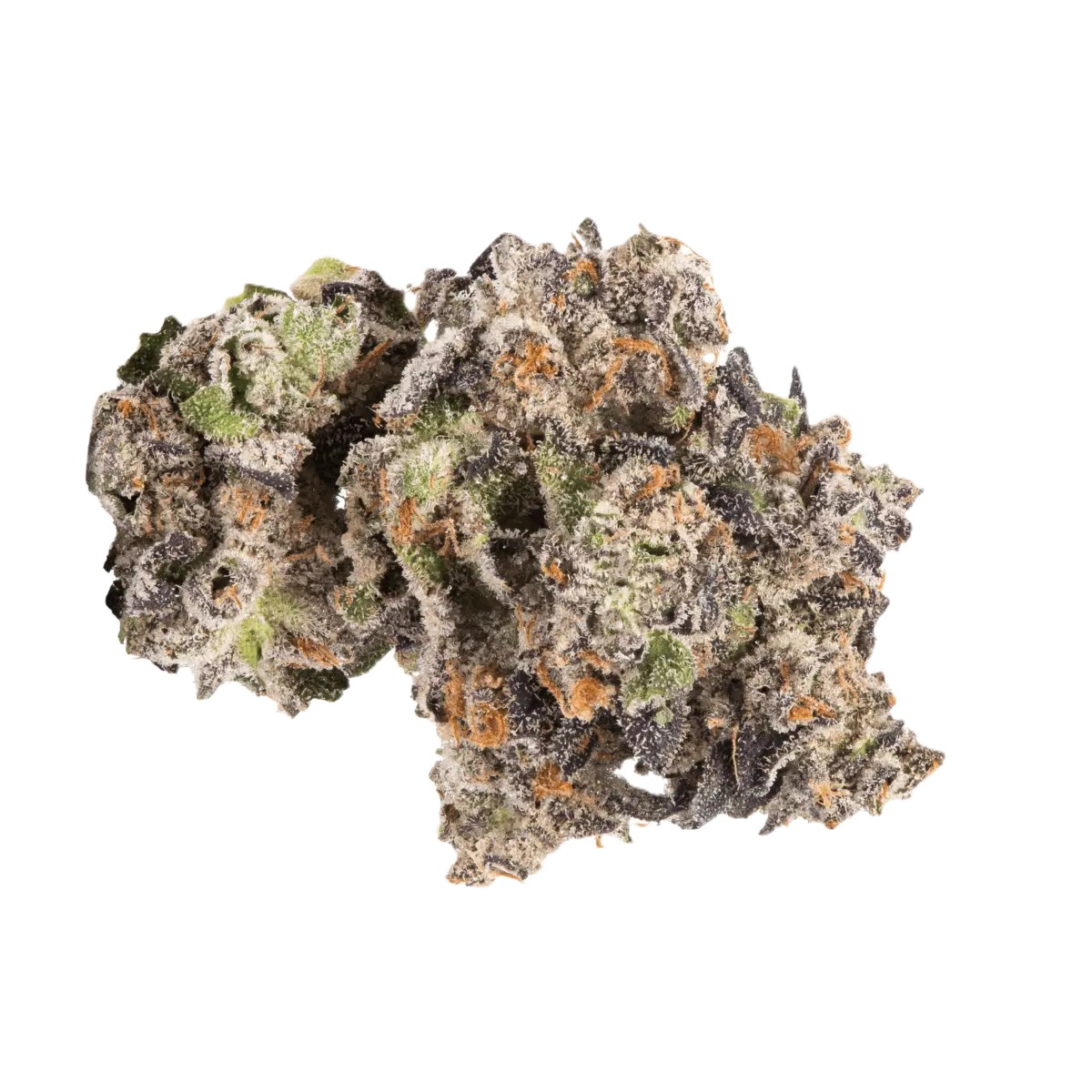 cookies-28-1 Bathera 28/1 FC Fine Cookies – Bild 1