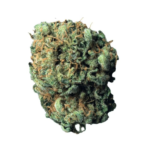 Cookies 26/1 MD Medellin