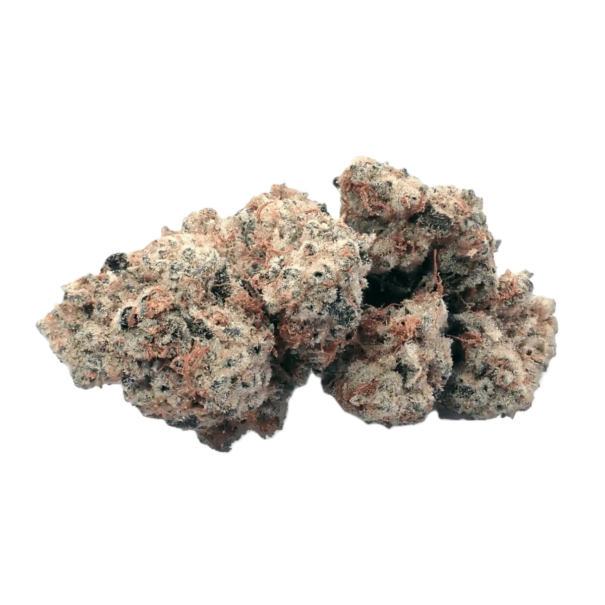 demecan-craft-walkie-talkie-2701 Demecan CRAFT Walkie Talkie 31:01 Sugar Cake – Bild 1