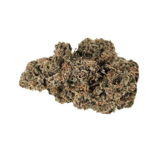 Drapalin 29/1 Cape Canaveral Girl Scout Cookies x Mandarin Sunset