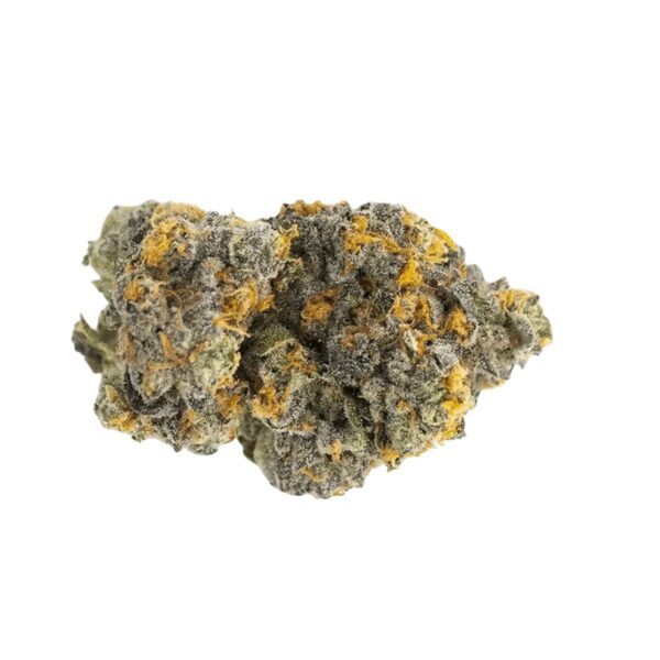 Drapalin 31/1 Da Fux Gary Payton x Gushers