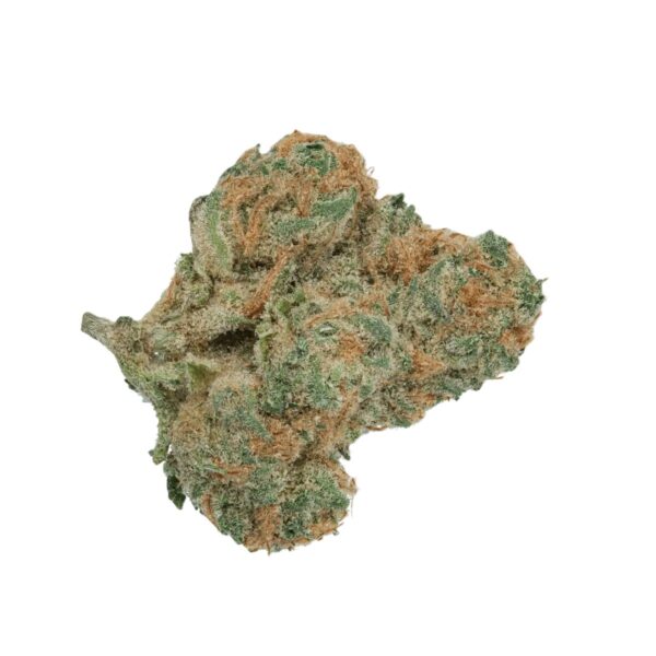 Endo Canna MSH 26/1 Mimosa Shot