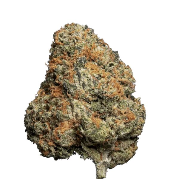 enua 20/1 CDG CA Crispy Doughnut