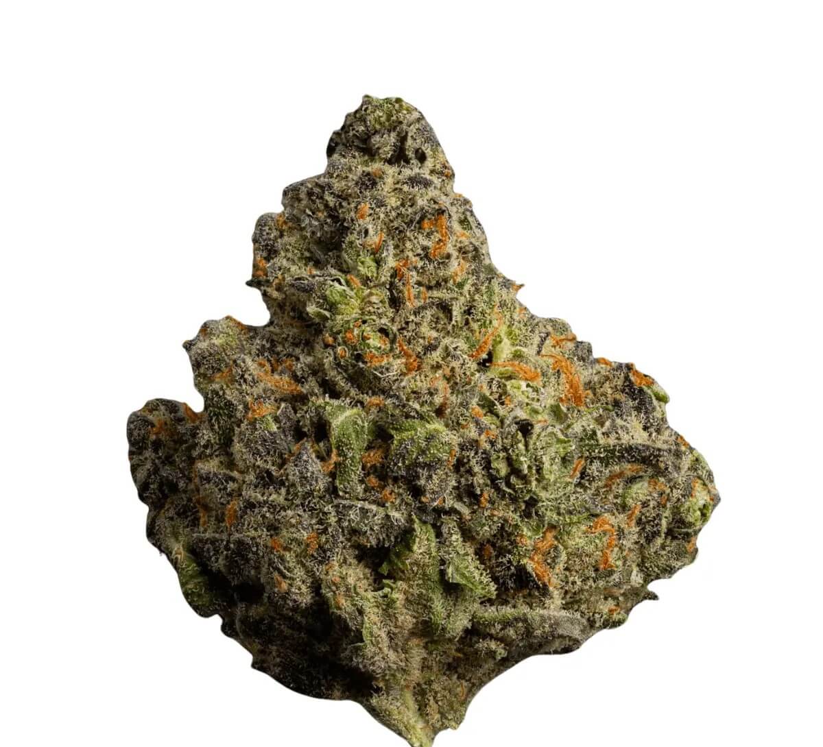 enua-22-1-abg-ca-sweets enua 22/1 ABG CA Sweets – Bild 1