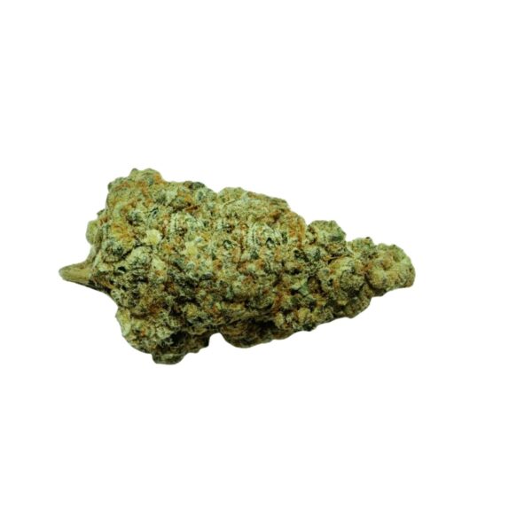 enua 22/1 JLSY CA Jealousy