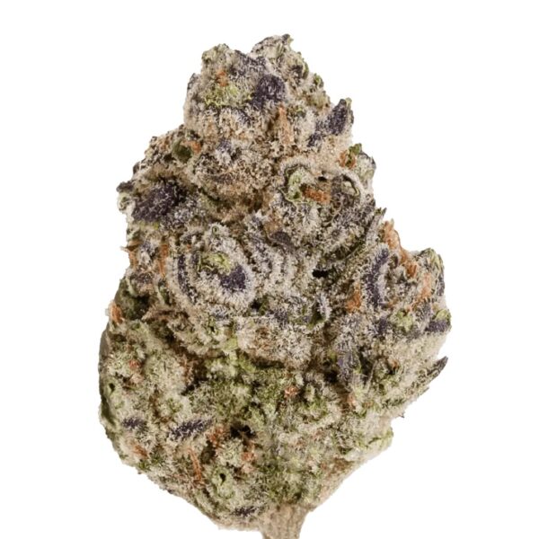 enua 22/1 BCP CA Black Cherry Punch