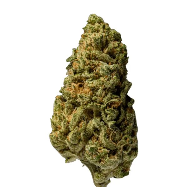 enua 22/1 GPP CA Gelly Popper