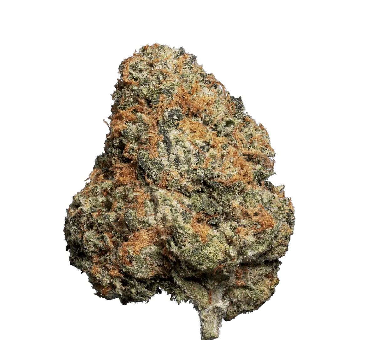 enua-22-1-jfg-ca enua 22/1 JFG CA Jet Fuel Gelato – Bild 1