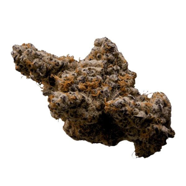 enua SSV CA 30/1 Sweet San Valley