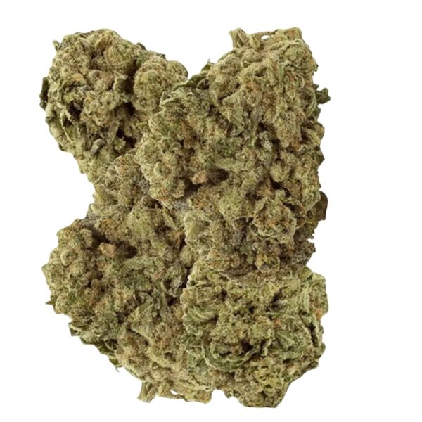 enua 27/1 TTA CA Titanimal