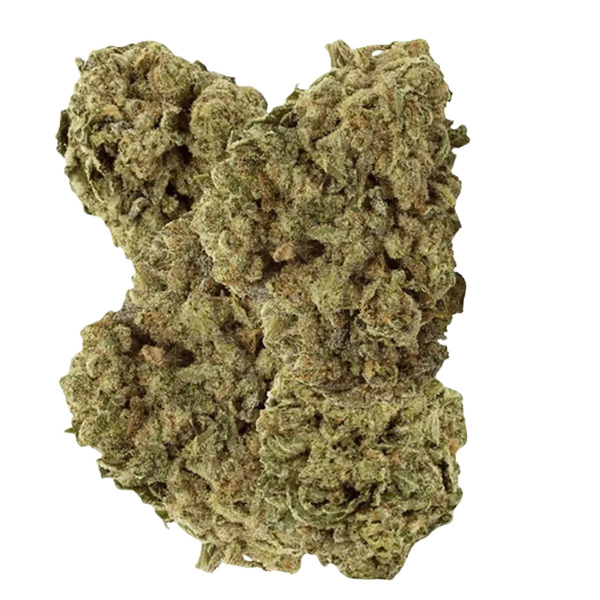 enua-27-1-tta-ca enua 27/1 TTA CA Titanimal – Bild 1