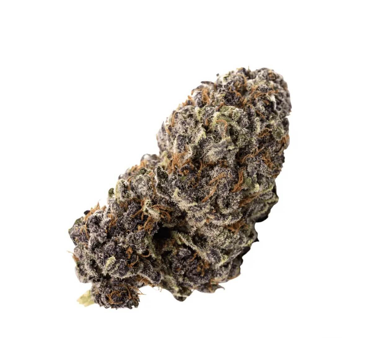 enua-27-1-zkm-ca-zkittlez-kushmints enua 30/1 ZKM CA Zkittlez Kushmints – Bild 1