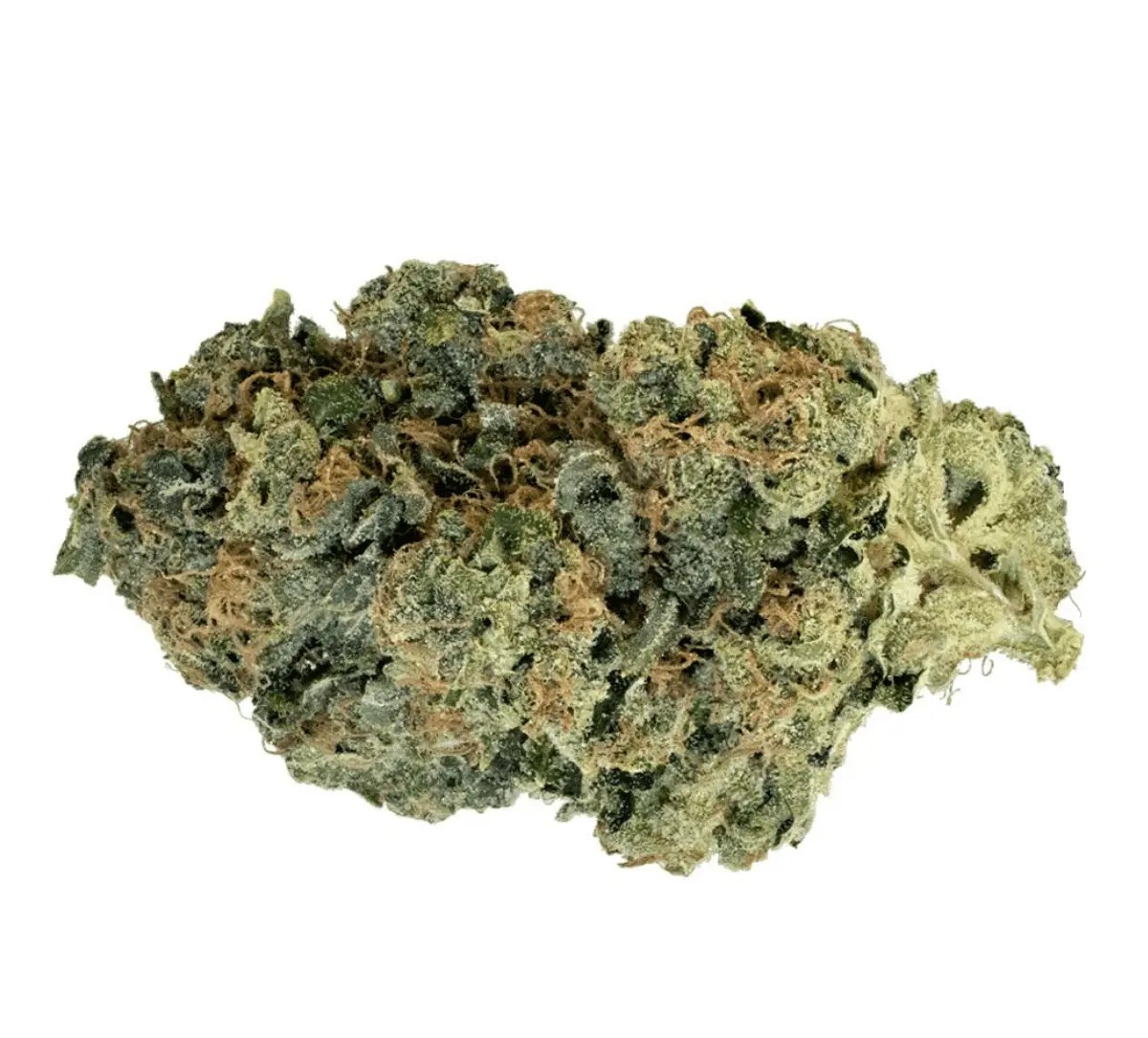 enua-30-1-gmo-ca enua 30/1 GMO CA Koko Cookies – Bild 1