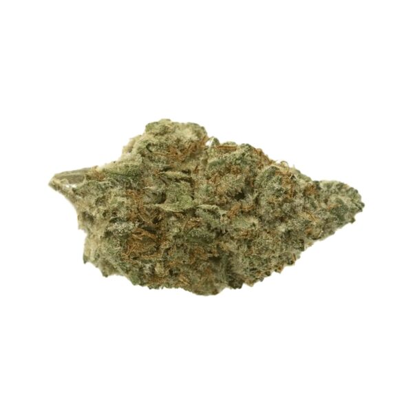 Eufloria 27/1 ICC Ice Cream Cake