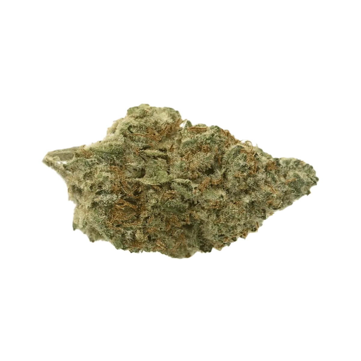 eufloria-27-1-fco Eufloria 27/1 ICC Ice Cream Cake – Bild 1