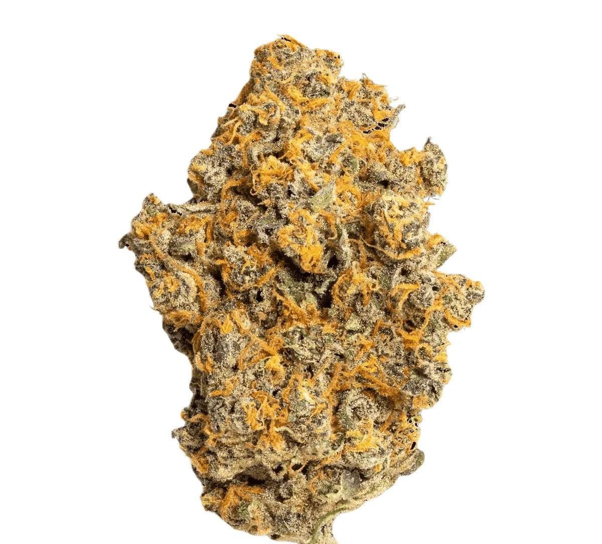 eufloria-27-1-psl Eufloria 27/1 PSL Pink Slurricane – Bild 1