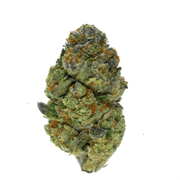 Eufloria 27/1 RVC Red Velvet Cake