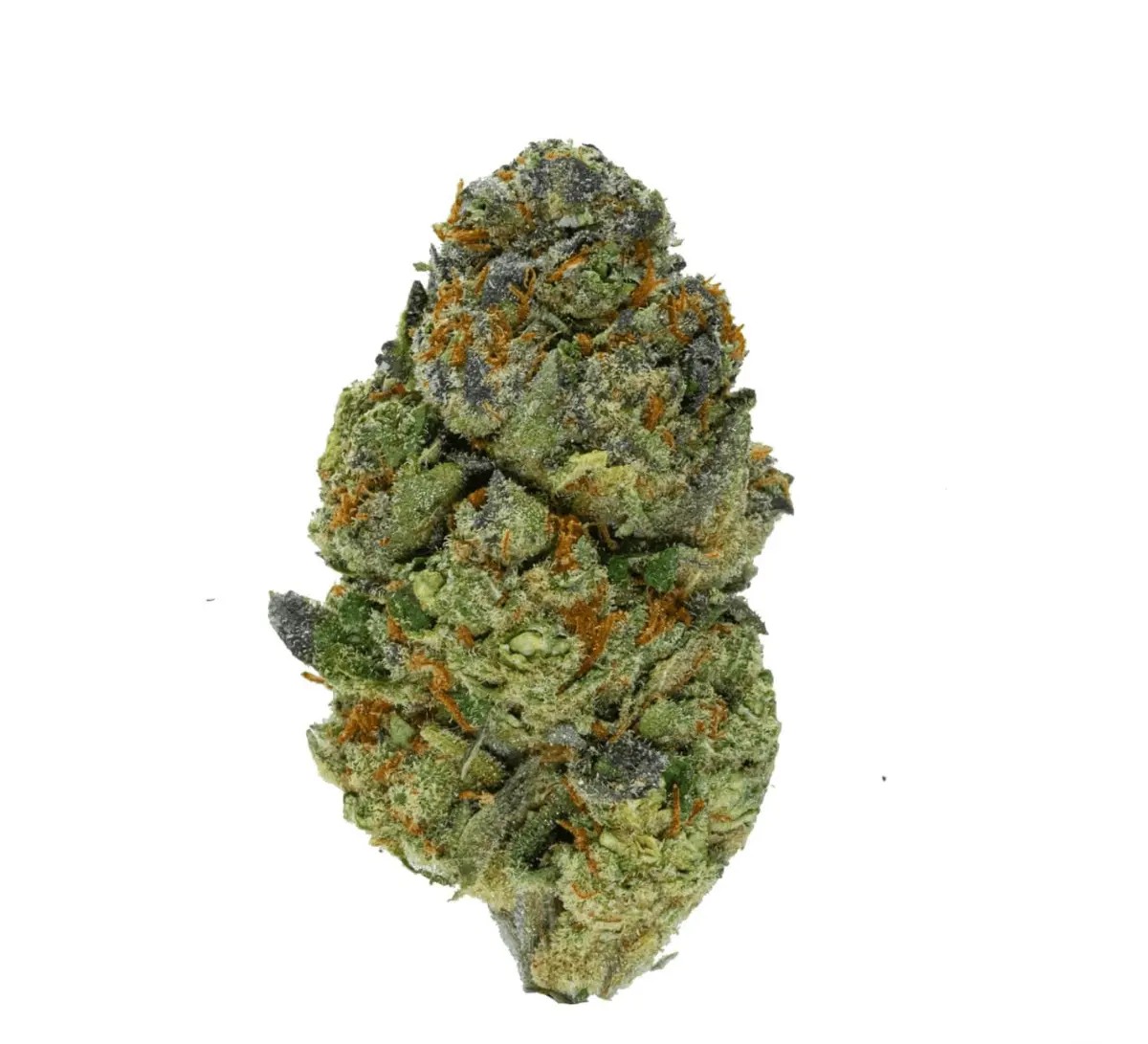 eufloria-27-1-rvc Eufloria 27/1 RVC Red Velvet Cake – Bild 1