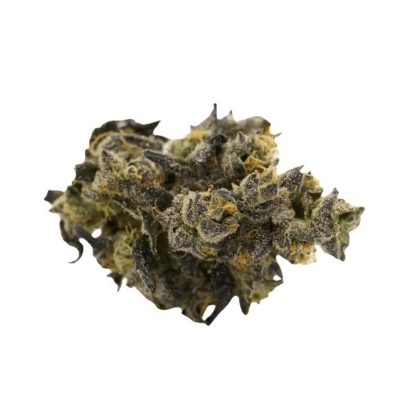 Eufloria 30/1 LBA LA Baker