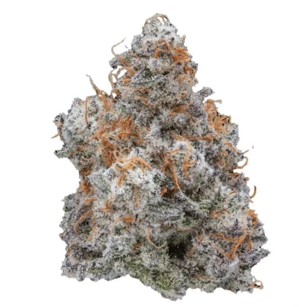 Eufloria 30/1 MCD MAC Deluxe