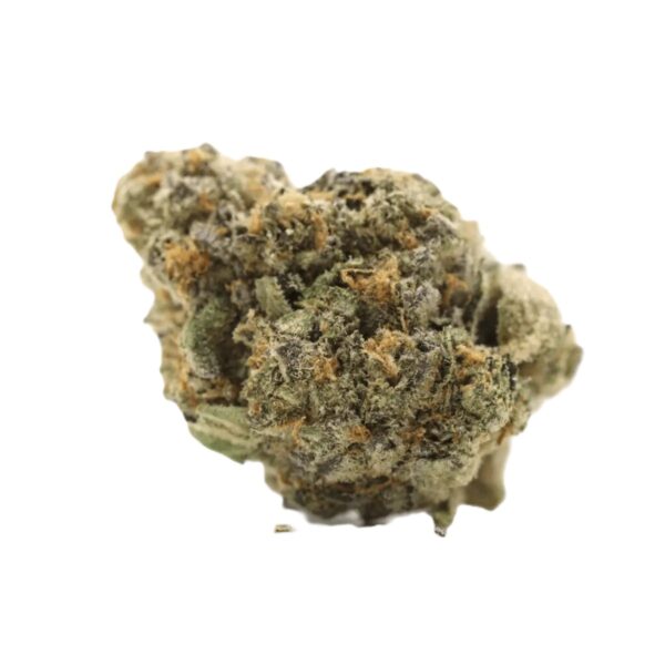 Green Karat PV 30/1 Pavé S1