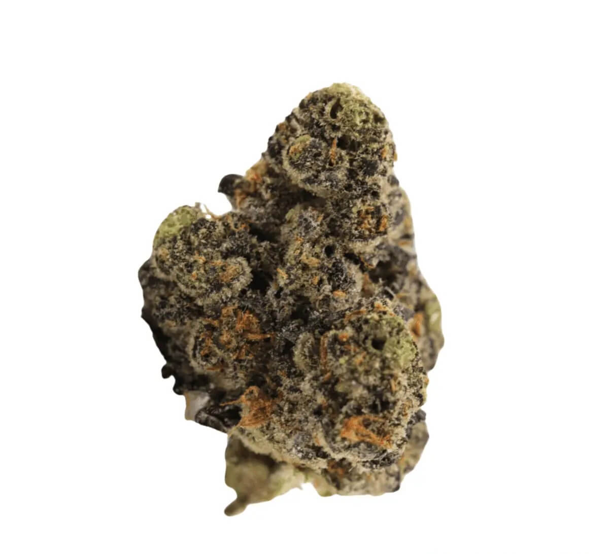 green-karat-ro-30-1 Green Karat RO 31/1 PT Runtz OG – Bild 1